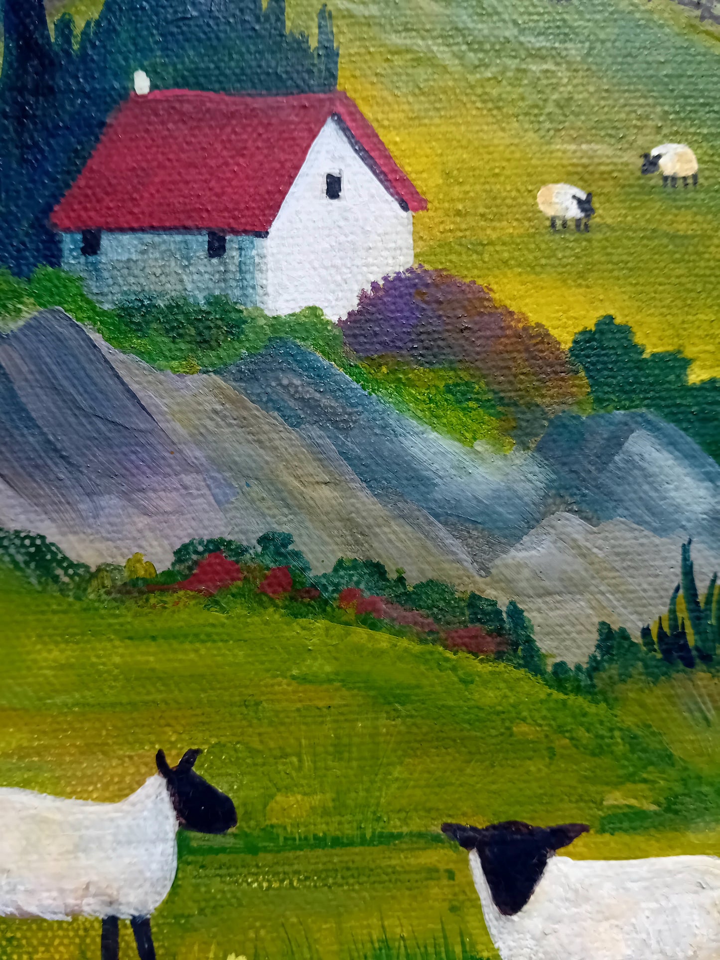 The Hill Sheep
