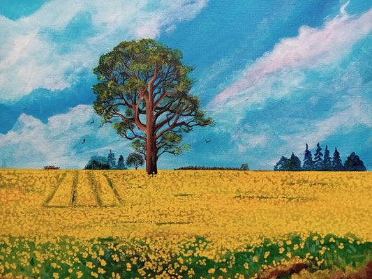 Fields at Wall - Open Print
