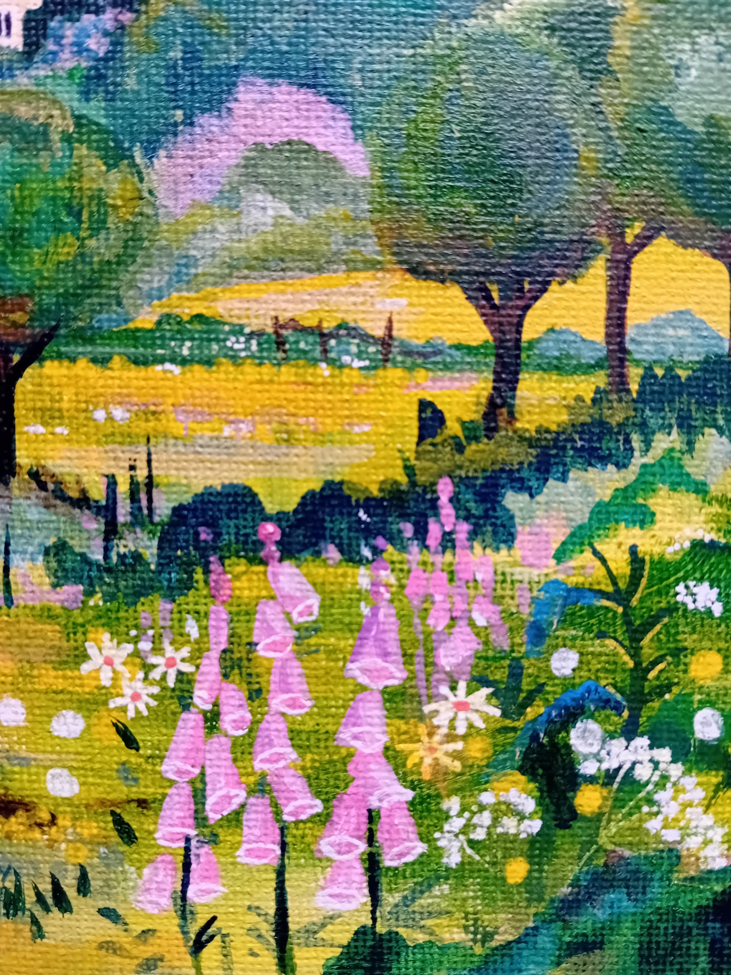 The View at Jackson's Bank